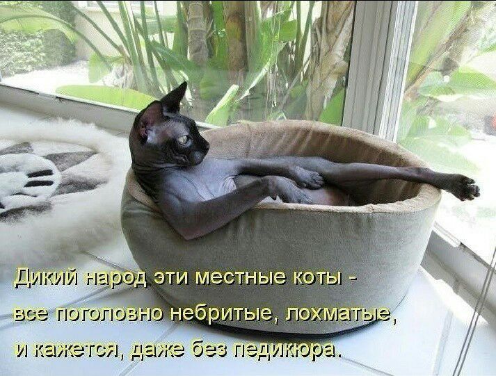 ЩИКИИ