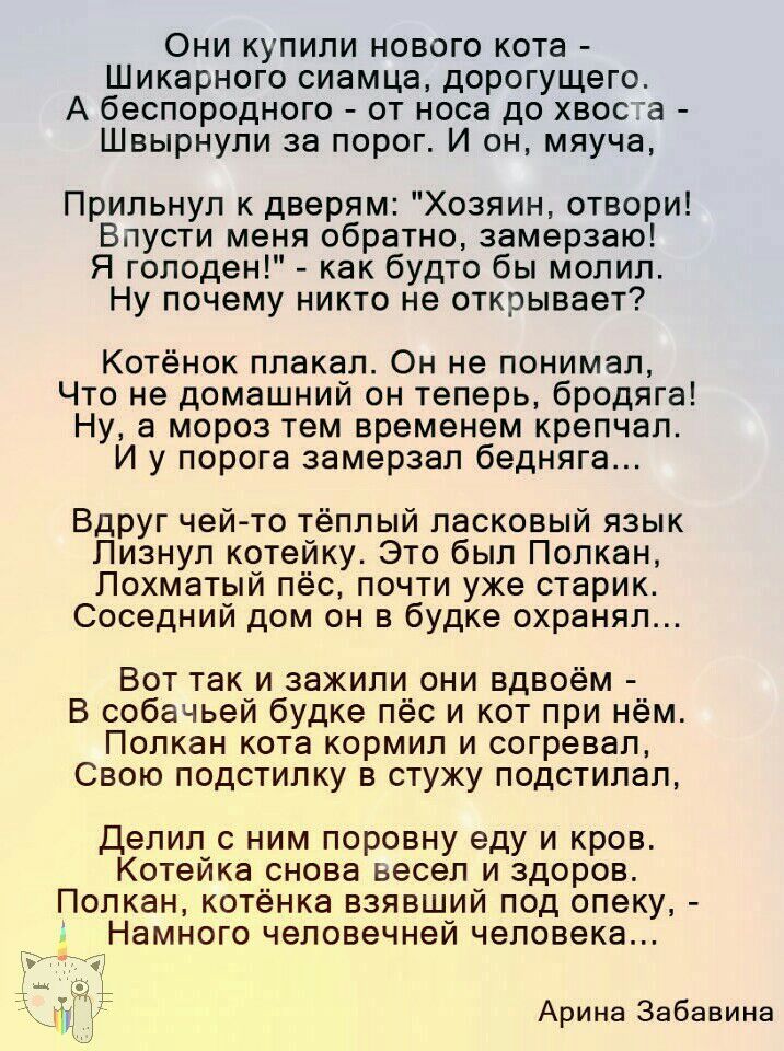 Они купили нового кота Шикарного сиамца дорогущего А беспородного от носа до хвоста Швырнули за порог И он мяуча Прильнул к дверям Хозяин отвори Впусти меня обратно замерзаю Я голоден как будто бы молил Ну почему никто не открывает Котёнок плакал Он не понимал Что не домашний он теперь бродяга Ну а мороз тем временем крепчал И у порога замерзал бедняга Вдруг чей то тёплый ласковый язык Пизнул коте