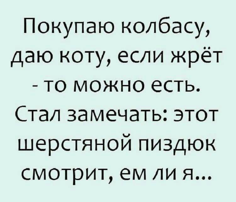 Покупаю колбасу даю коту если жрёт то можно есть Стал замечать этот шерстяной пиздюк смотрит ем ли я