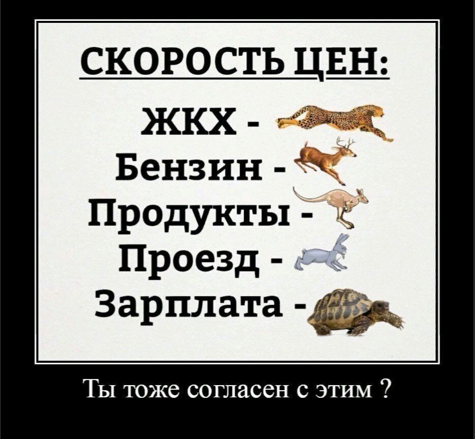 СКОРОСТЬ ЦШ Бензин продукты 9 Проезд Зарплата Ты тоже согласен с этим