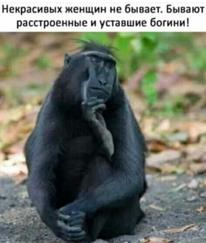 Некрасивых женщин не бывает Бывают расстроенные и уставшие богини