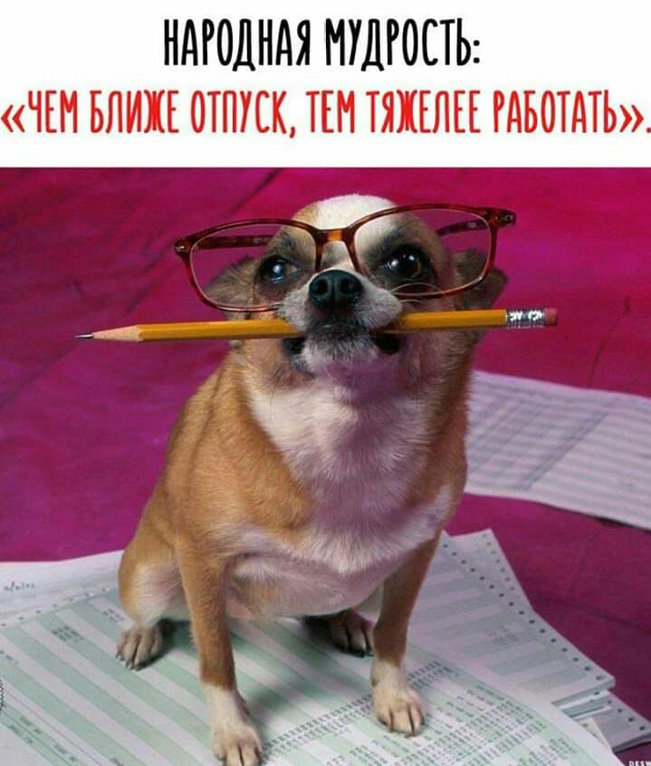 НАРОДНАЯ МУДРОСТЬ