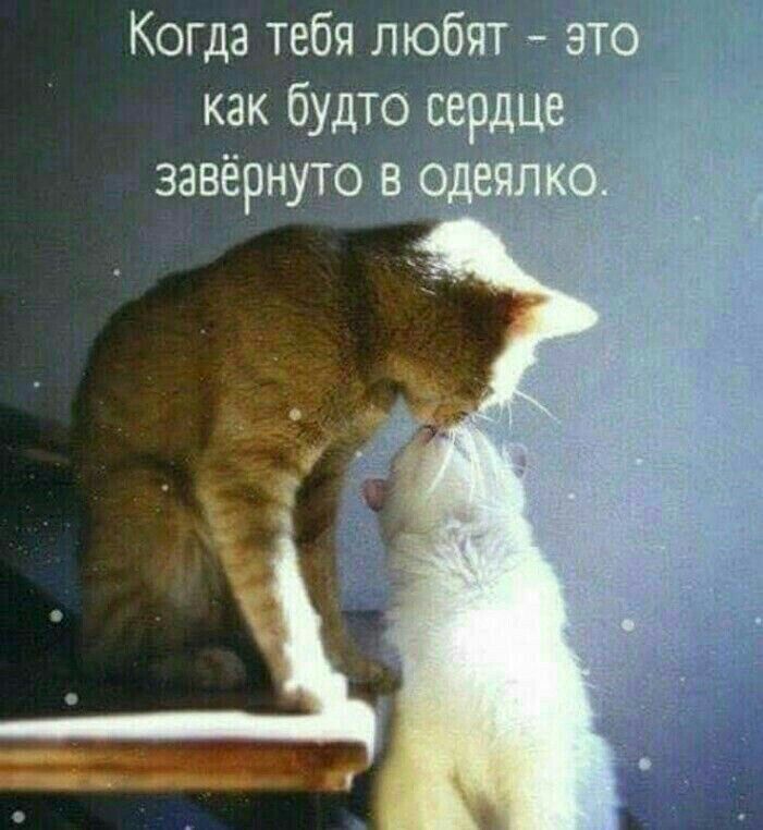 Когда тебя любят это как будто се де завёрнуто в д