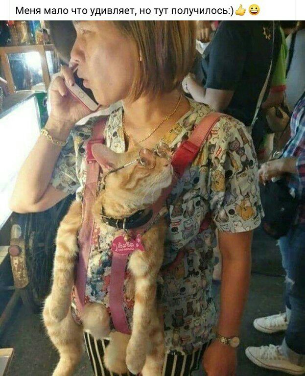 Меня мало что удивляет но тут получилосьй