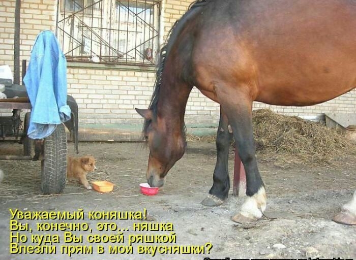 крыл Ц 1311 ш ую 1ша_ Ёрю куда 5071 ряшшй лилы прям А гмушшш и А