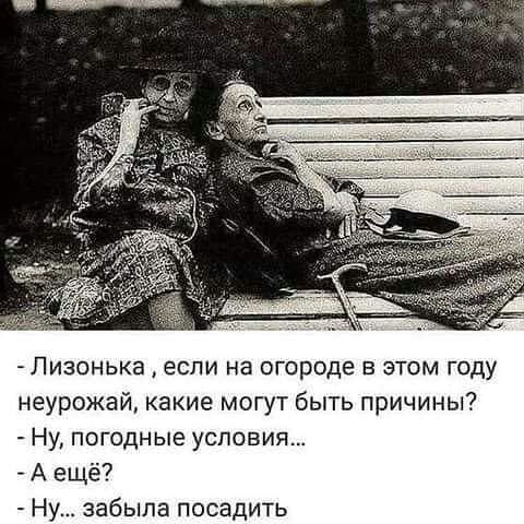 Лизонька если на огороде в этом году неурожай какие могут быть причины Ну погодные условия А ещё Ну забыла посадить