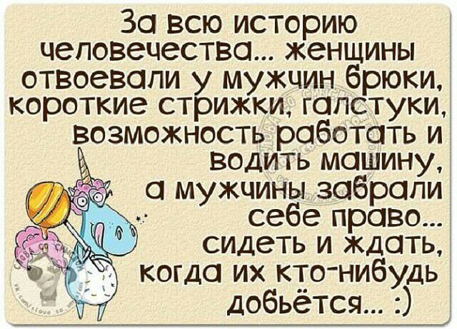 За всю историю человечества женщины отвоевали у мужчин брюки короткие стрижки галстуки возможность работать и водить машину а мужчины забрали себе право сидеть и ждать когда их кто нибудь добьётся