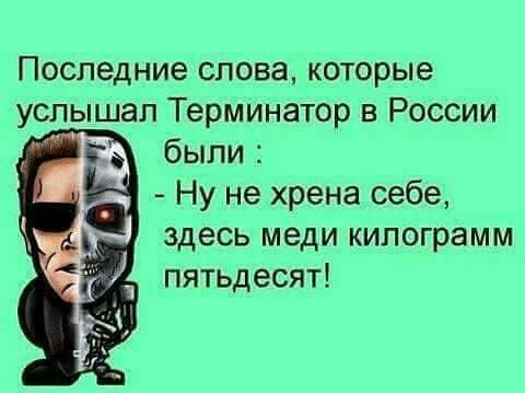 Последние слова которые услышал Терминатор в России были _ Ну не хрена себе