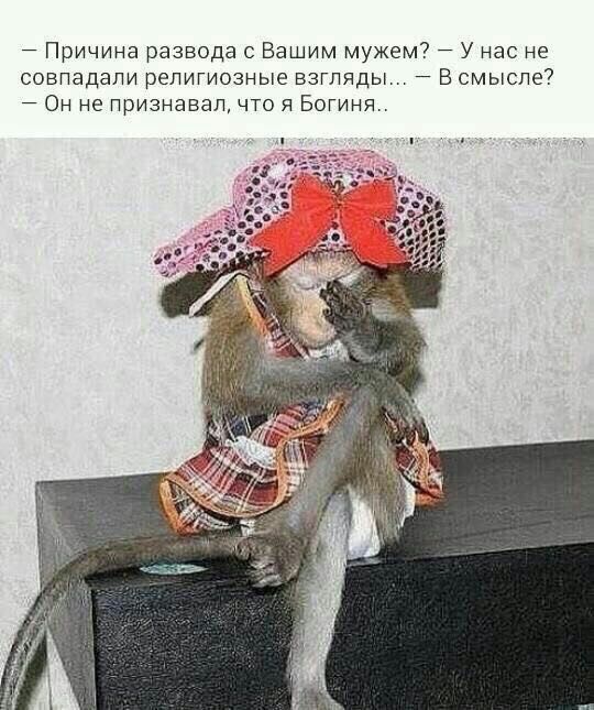 Причина развода с Вашим мужем У нас не совпадали религиозные взгляды В смысле Он не признавал что я Богиня