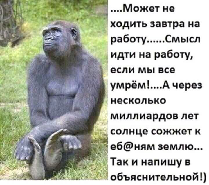 Может не ходить завтра на работуСмысл идти на работу если мы все умрёмА через несколько миллиардов лет солнце сожжет к ебням землю Так и напишу в объяснительной