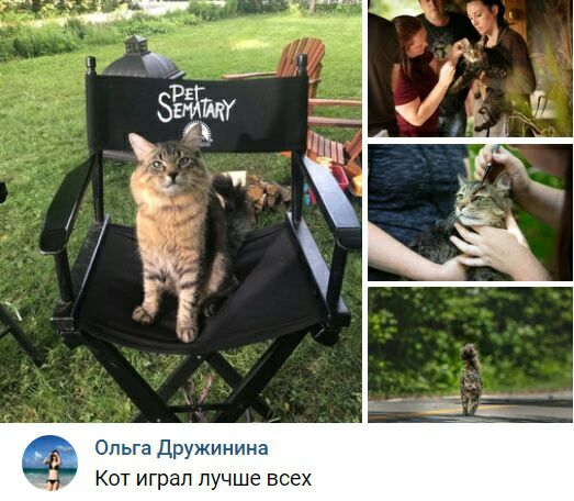 Ольга Дружинина Кот играл лучше всех