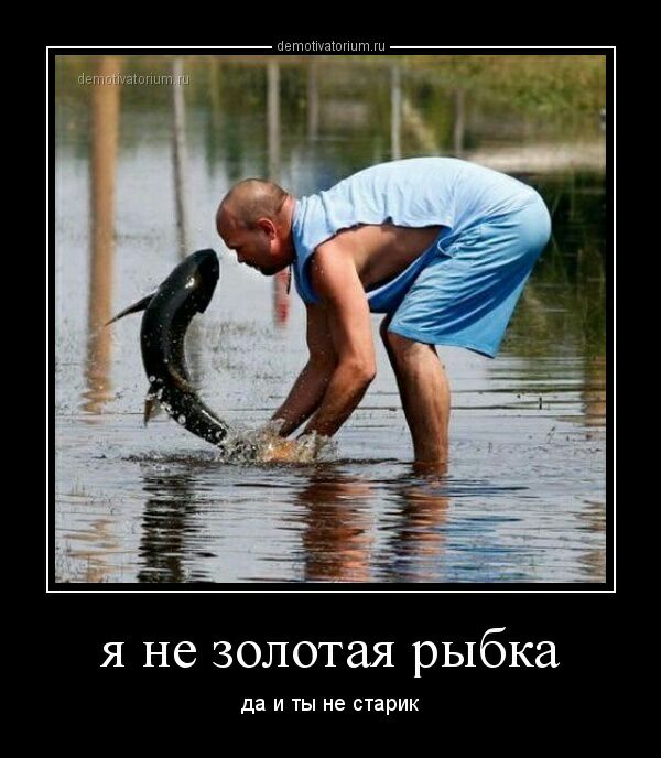 Автпшыпннт я не золотая рыбка да и ты не старик