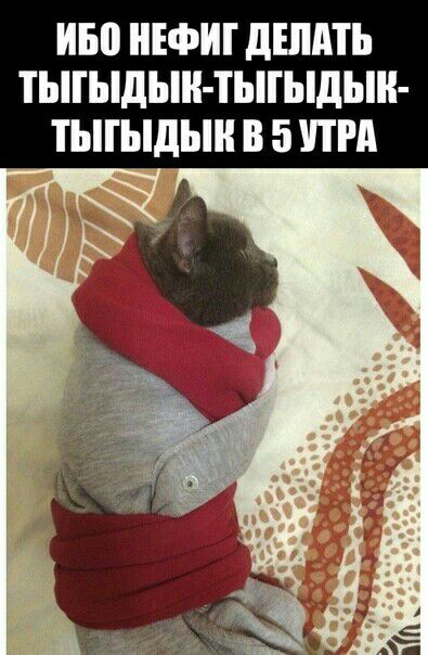 ИБВ НЕФИГ дШдПз ТЫГЫдын ТЫГЫДЬШ ТЫГЫДЬШ В 5 ПРА