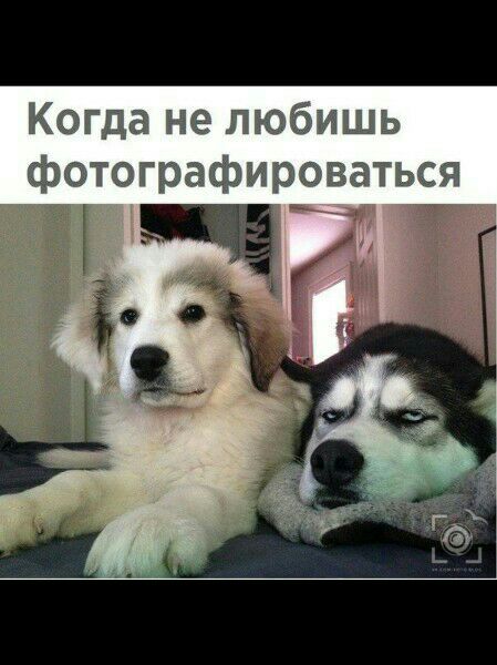 Когда не любишь фотографироваться
