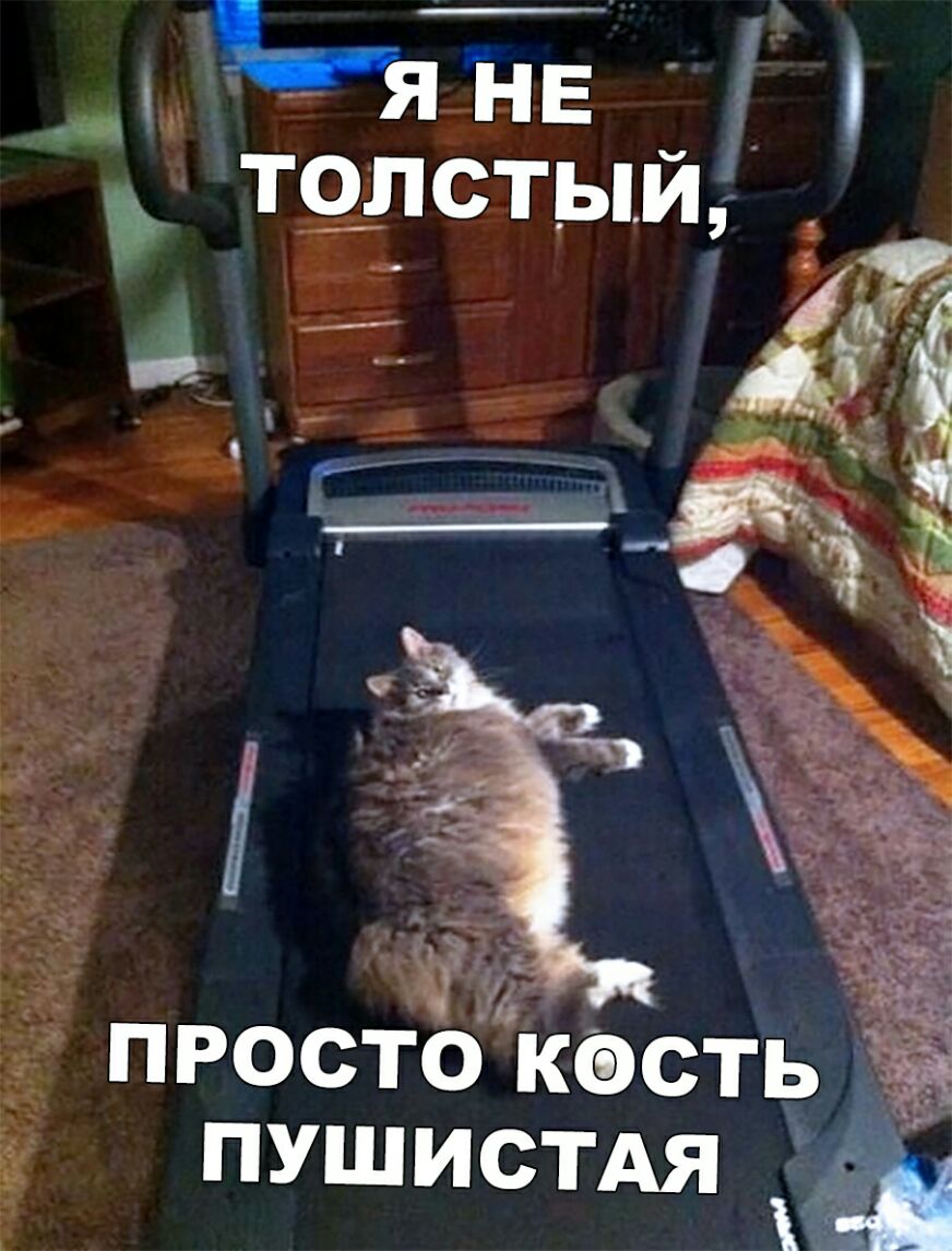 ТОЛСТЬЁЙ ПРОСТО КФСТЬ аъ ПУШИСТАЯ Ш