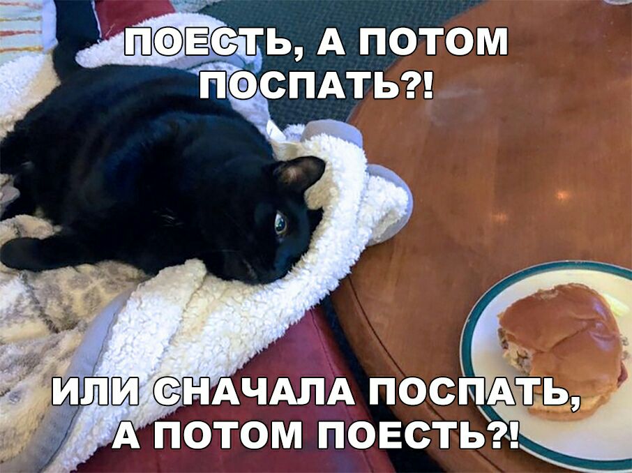 ПШ НАЧАЛА ПОСПА А ПОТОМ ПОЕСТЬ