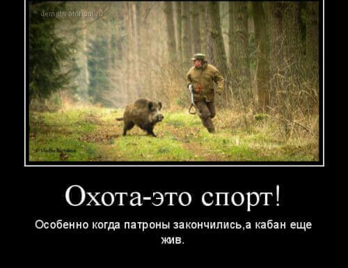 Охота это спорт Особенно котя пптрпны закснчиписьд иван еще жив