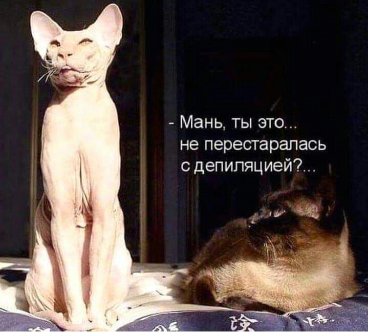 Мань ты это не перестарапась с депиляцией 5542