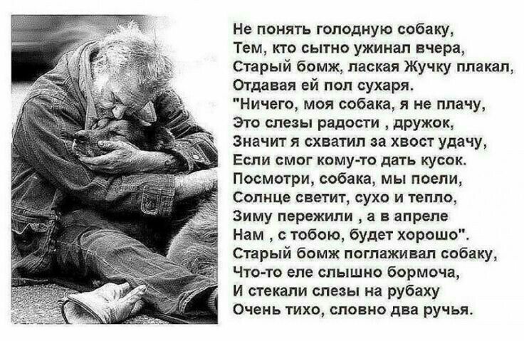 Не понять голодную собаку Тем кто сытно ужинал вчера Старый бомж лаская Жучку плакал Отдавая ей пол сухаря Ничего моя собака я не плачу Это слезы радости дружок Значит я схватил за хвост удачу Если смог кому то дать кусок Посмотри собака мы поели Солнце светит сухо и тепло Зиму пережили а в апреле Нам с тобою будет хорошоі Старый бомж поглаживал собаку Что то еле слышно бормоча И стекали слезы на 