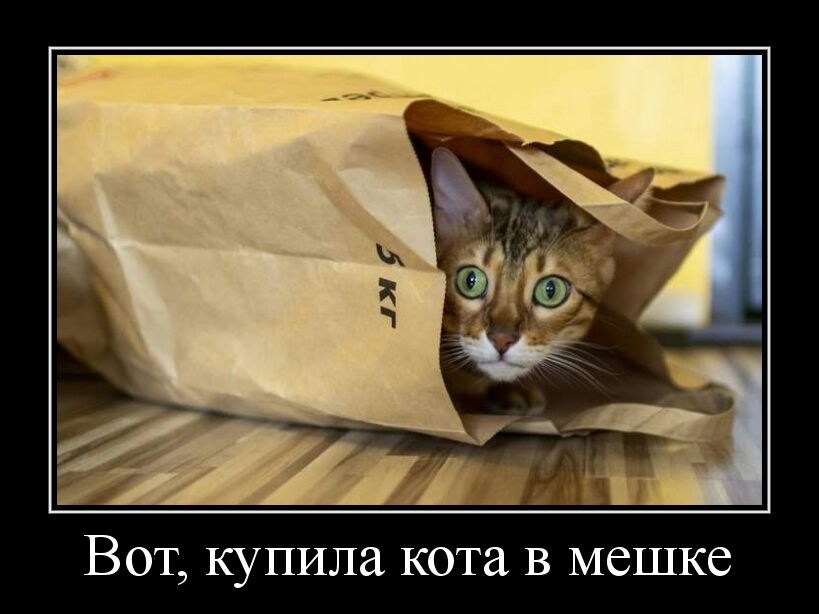 Вот купила кота в мешке