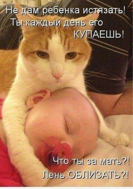 3 ребенкав ис зать _ ігшнзГз а мать ЛЭПЬ ОБЛИЗАТЬ