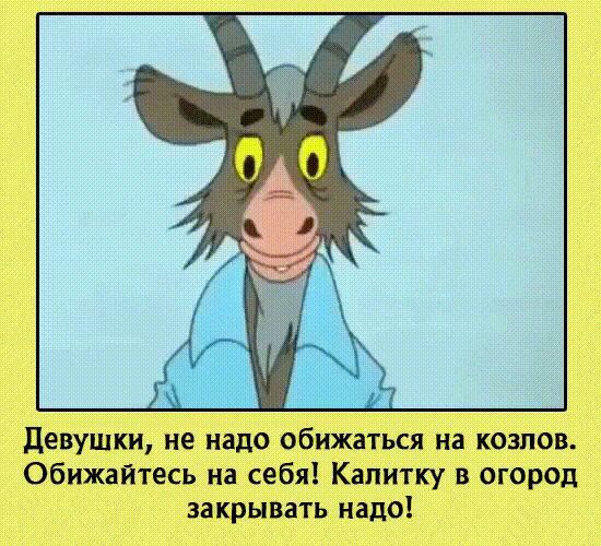 девушки не надо обижаться на козлов обижайтесь на себя Капитку в огород закрывать надо