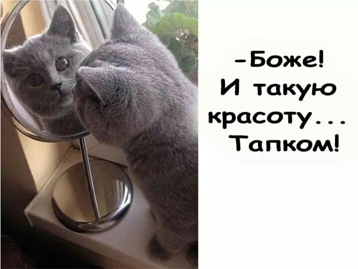 Боже И такую _ красоту Тапком