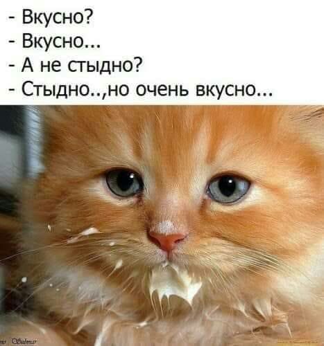 Вкусно Вкусно А не сгыдно Стыдноно очень вкусно