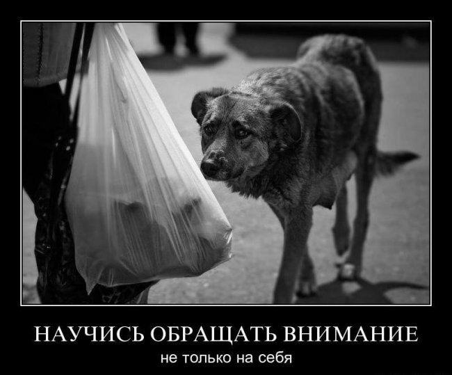 НАУЧИСЬ ОБРАЩАТЬ ВНИМАНИЕ не только на себя