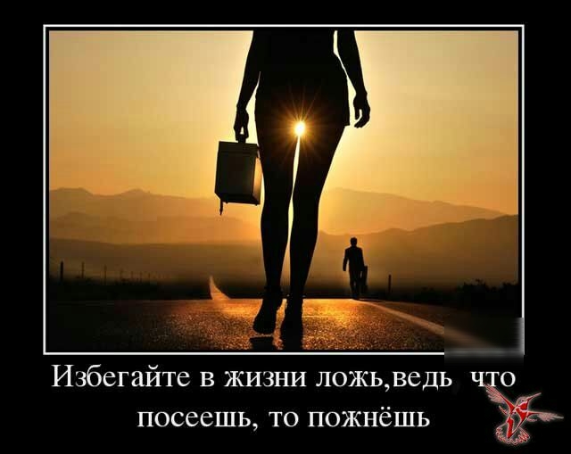Избегайте в жизни ложьведь о посеешь то пожнёшь