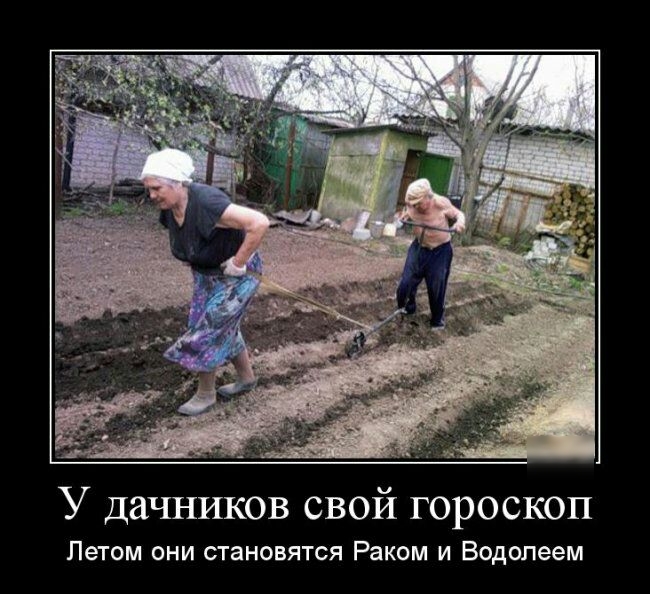 У дачников свой гороскоп Летом они становятся Раком и Водолеем
