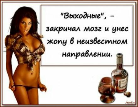 Вошедшие закричал мозг и унес жопу 6 ншзбссмном камрадшпиц