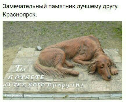 Замечательный памятник лучшему другу Красноярск