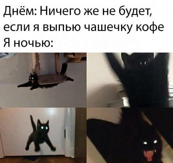 Днём Ничего же не будет если я выпью чашечку кофе Я ночью