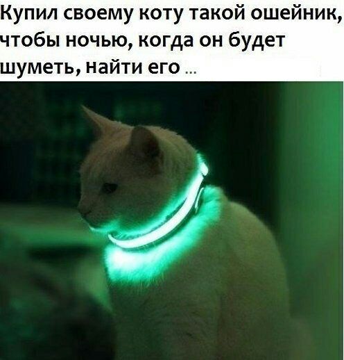 Купил своему коту такой ошейник тобы ночью когда он будет уметь найти его