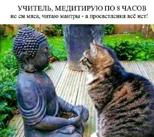 УЧИТЕЛЬ МЕДИТИРУЕО ПО 8 ЧАСОВ нс см мяса читаю мантры просветлсшш всё нст