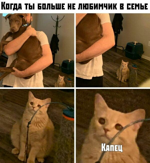 Кпгдп ТЫ ЕПЛЬШЕ НЕ ЛШЕИИЧИК В СЕМЬЕ
