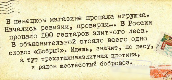 В немецком магазине пропала игрушка Начались ревизии проверки В России пропало 100 гектаров элитного леса В объяснительной стояло всего одно слово Бобры Идешь значит по лесу а тут трехзтаэшакэли тная плотина и рядом шестисотый бобшвоэ