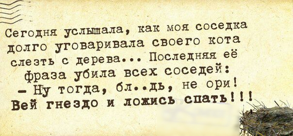 Сегодня услышала как МОЯ соседка долго уговаривала своего кота слезть дерева Последняя её фраза убила всех соседей Ну тогда бл ды не ори Вей гнездо и подпись спать Н к