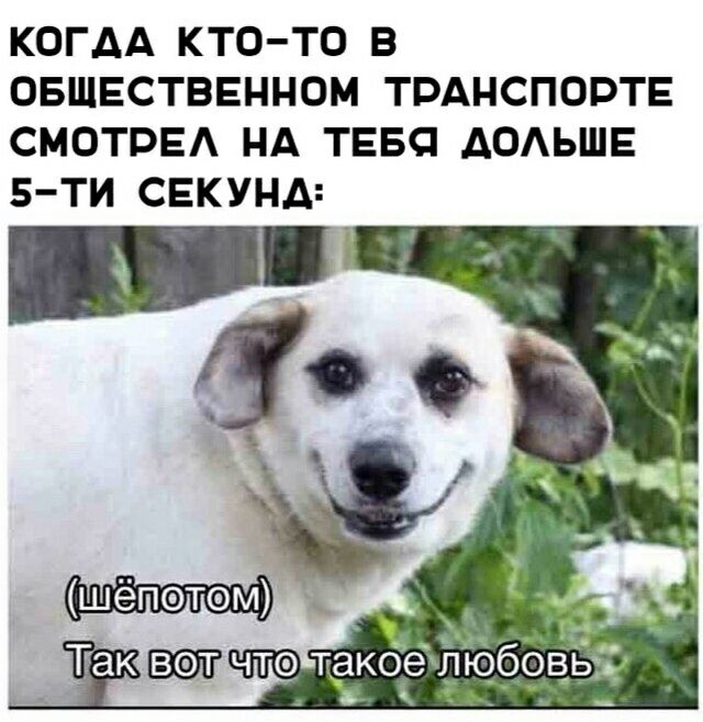 КОГДА КТО ТО В ОБЩЕСТВЕННОМ ТРАНСПОРТЕ СМОТРЕА НА ТЕБЯ АОАЬШЕ Б ТИ СЕКУНД