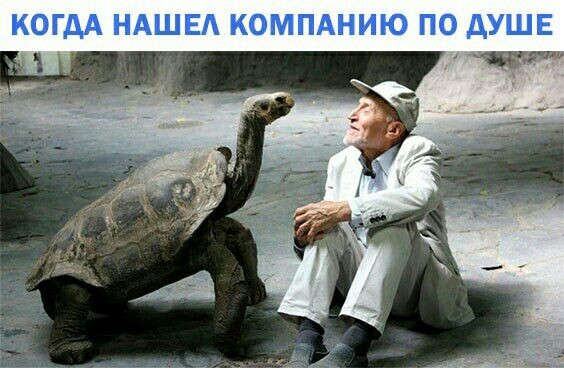 КОГДА НАШЕ КОМПАНИЮ ПО дУШЕ 1 _ чт