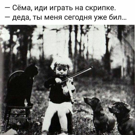 Сёма иди играть на скрипке деда ты меня сегодня уже бил