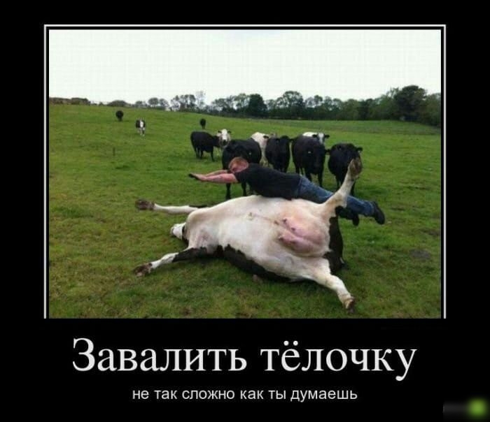 ЗаваЛИТЬ тёлочку не ТЗК СЛОЖНО как ТЫ Думаешь