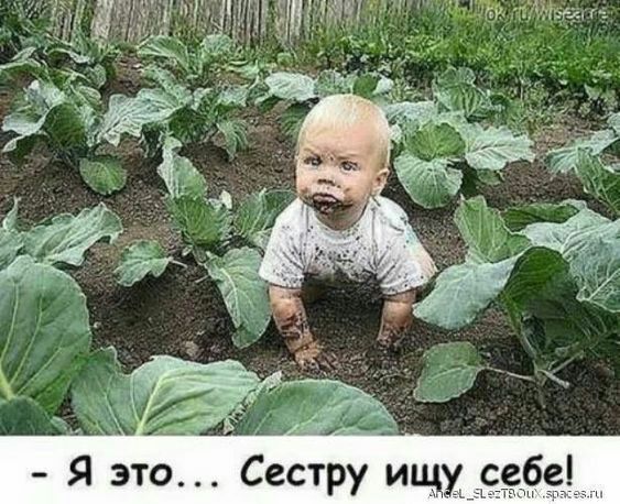 Я это СесЁру ищ