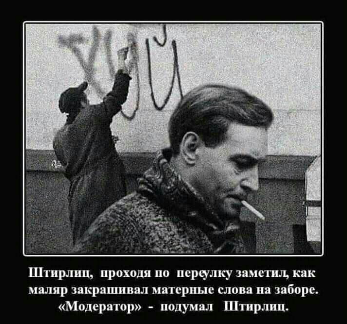 Штирлиц проходя по перчлку замепш как маляр закрашивал матерные слова на заборе Модератор подумал Штирлиц