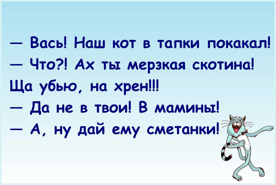 Вась Наш кот в тапки покакал Что Ах ты мерзкая скотина Ща убью на хрен Да не в твои В мамины5 А ну дай ему сметанкиЁ