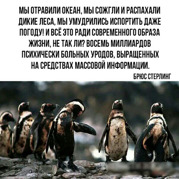 МЫ ОТРАВИЛИ ОКЕАН МЫ СОЖГЛИ И РАСПАХАЛИ ЛИКИЕ ЛЕСА МЫ УМУЛРИЛИСЬ ИСПОРТИТЬ ДАЖЕ ПОГОДУ И ВСЁ ЗТО РАДИ СОВРЕМЕННОГО ОБРАЗА ЖИЗНИ НЕ ТАК ЛИ ВОСЕМЬ МИЛПИАРДОО ПСИХИЧЕСКИ БОЛЬНЫХ УРОЛОВ ВЫРАШЕННЫХ НА СРЕДСТВАХ МАССОВОЙ ИНФОРМАЦИИ БРЮС СТЕРЛИНГ