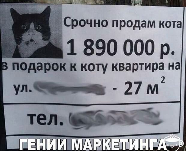 рочно продам кота 1 890 000 р подарок к коту квартира на