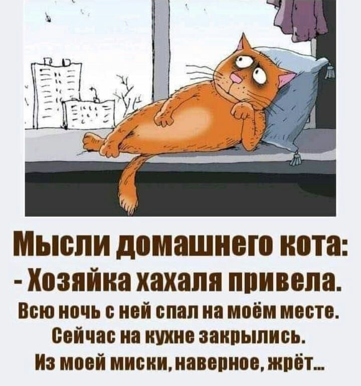 7 ч _ _ МЫБЛИ домашнего нота Хозяйка хахапя ппивепа Всю НОЧЬ НЕЙ спал на МВОМ месте БОЙШБ на ШШ закрылись Из моей мисиимавепное жрёт
