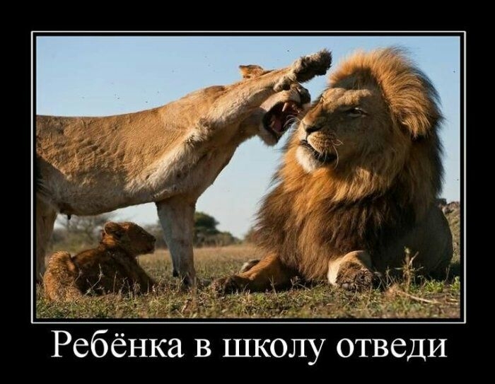 Ребёнка в школу отведи